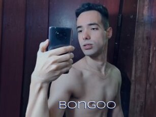 Bongoo