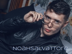 Noahsalvattore