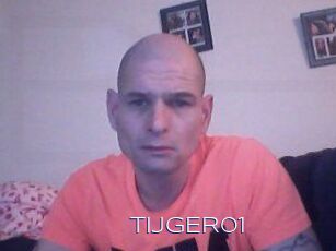 TIJGER01 Blue Hot